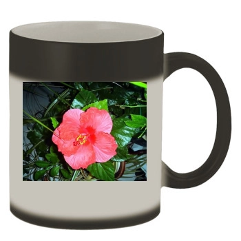 Flowers Color Changing Mug