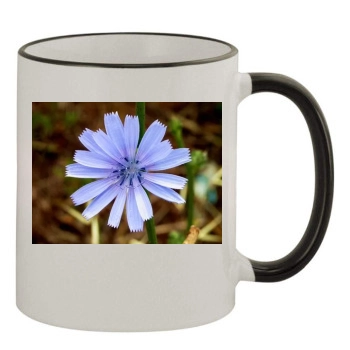 Flowers 11oz Colored Rim & Handle Mug