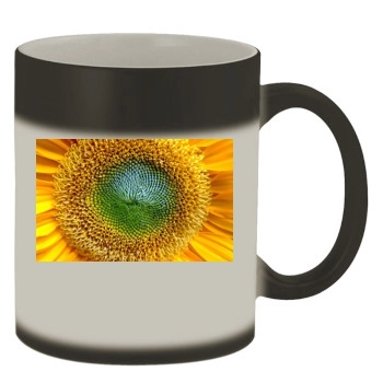 Flowers Color Changing Mug