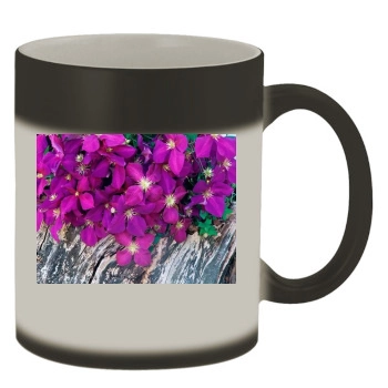 Flowers Color Changing Mug