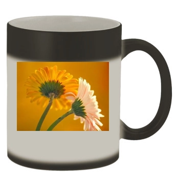 Flowers Color Changing Mug