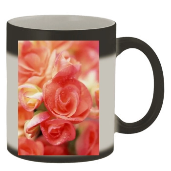 Flowers Color Changing Mug