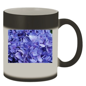 Flowers Color Changing Mug