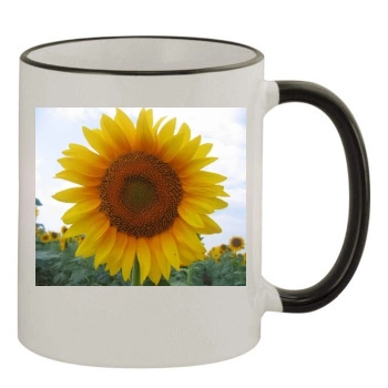 Flowers 11oz Colored Rim & Handle Mug