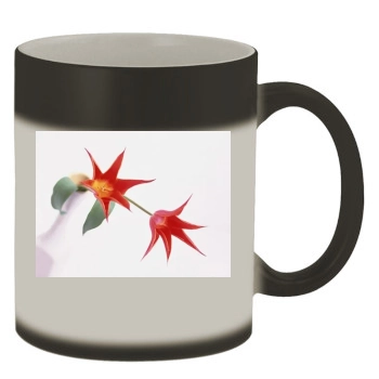 Flowers Color Changing Mug