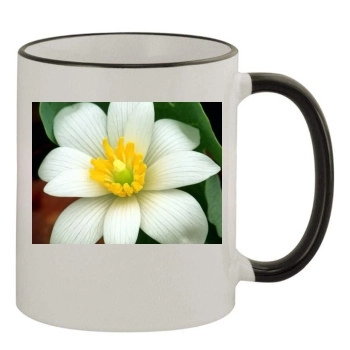 Flowers 11oz Colored Rim & Handle Mug