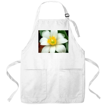 Flowers Apron