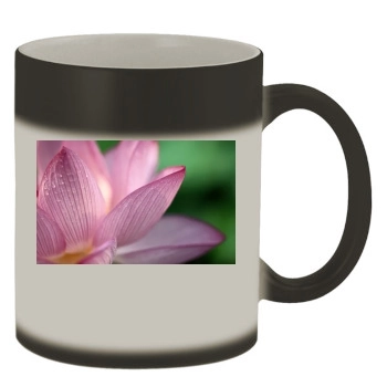 Flowers Color Changing Mug