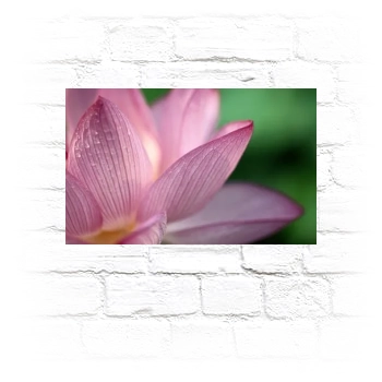 Flowers Metal Wall Art