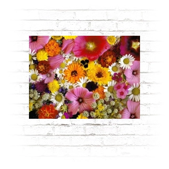 Flowers Poster