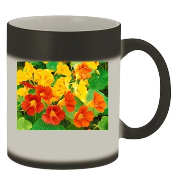 Flowers Color Changing Mug