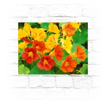 Flowers Metal Wall Art