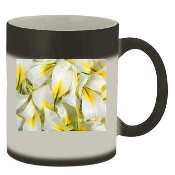 Flowers Color Changing Mug