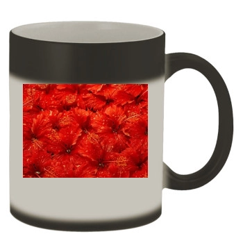 Flowers Color Changing Mug