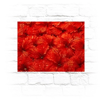 Flowers Metal Wall Art