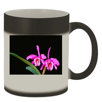 Flowers Color Changing Mug