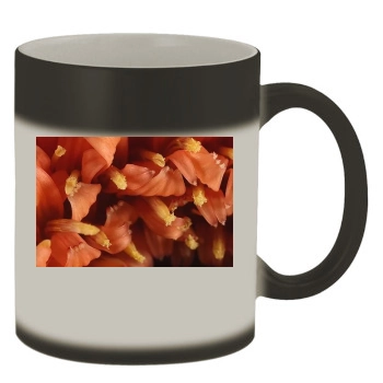 Flowers Color Changing Mug