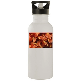 Flowers Stainless Steel Water Bottle