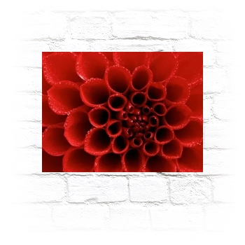 Flowers Metal Wall Art