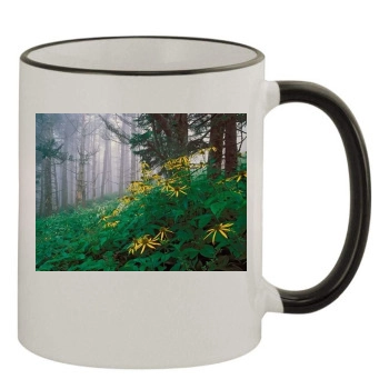 Flowers 11oz Colored Rim & Handle Mug