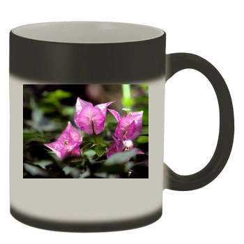 Flowers Color Changing Mug