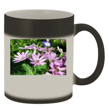 Flowers Color Changing Mug