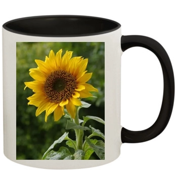 Flowers 11oz Colored Inner & Handle Mug