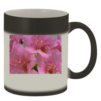 Flowers Color Changing Mug