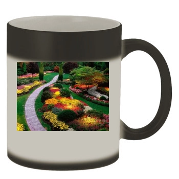 Flowers Color Changing Mug