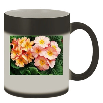 Flowers Color Changing Mug