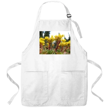 Flowers Apron