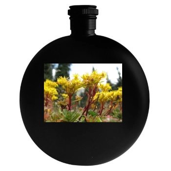 Flowers Round Flask