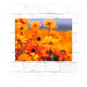 Flowers Metal Wall Art