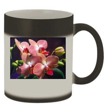 Flowers Color Changing Mug