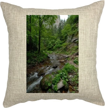 Rivers Pillow