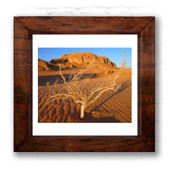 Desert 6x6