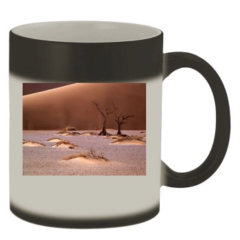 Desert Color Changing Mug