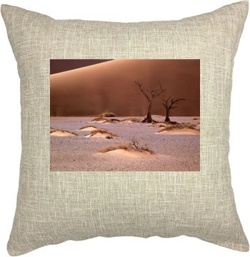 Desert Pillow