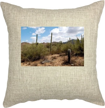 Desert Pillow