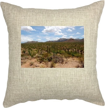 Desert Pillow