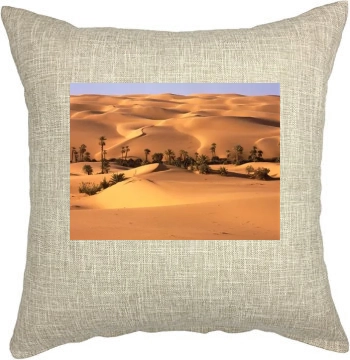 Desert Pillow