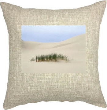 Desert Pillow