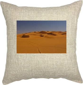 Desert Pillow