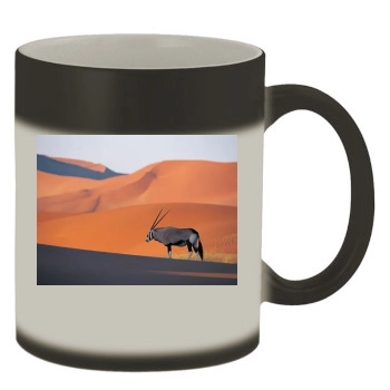 Desert Color Changing Mug