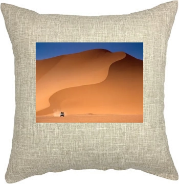 Desert Pillow