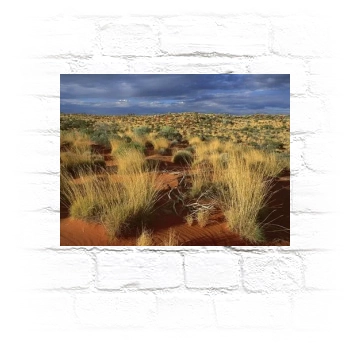 Desert Metal Wall Art