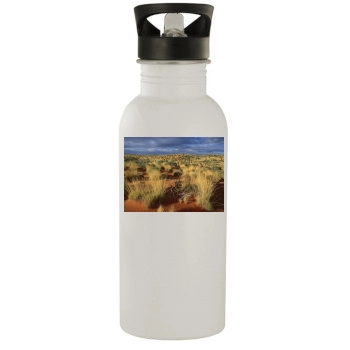 Desert Stainless Steel Water Bottle