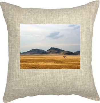 Desert Pillow