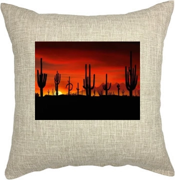 Desert Pillow