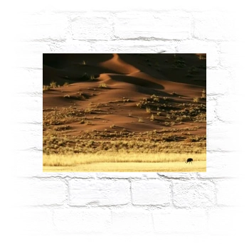 Desert Metal Wall Art